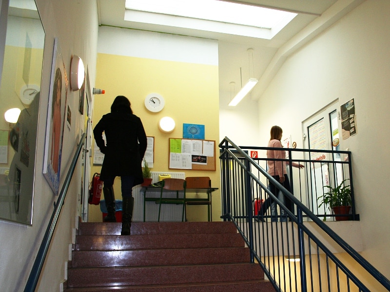 Galerie-Bild